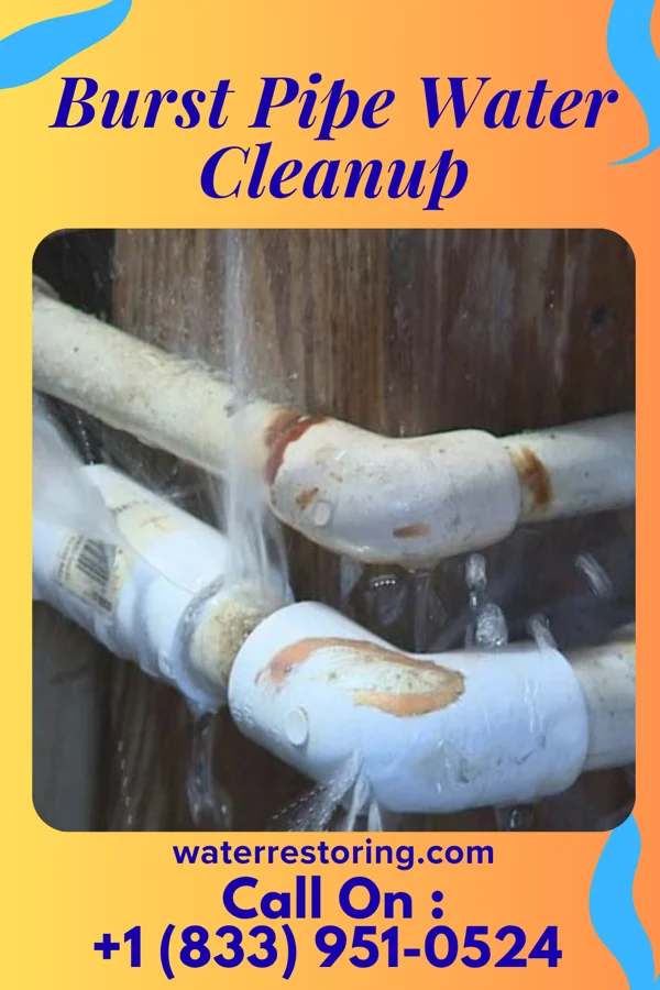 Burst Pipe Water Cleanup in Hanoverton, OH