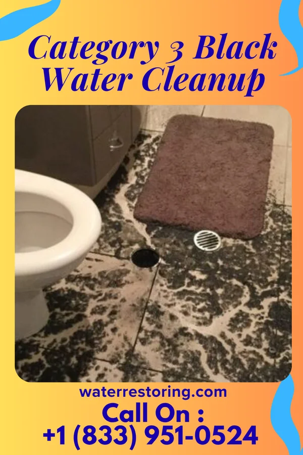 Category 3 Black Water Cleanup in Hanoverton, OH